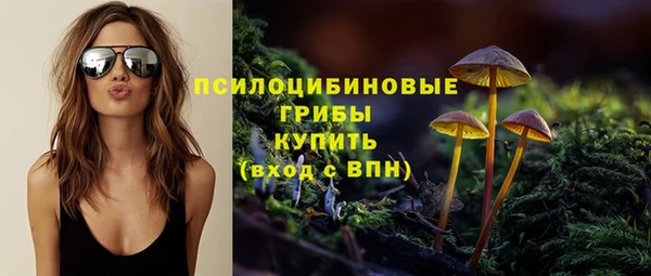 PSILOCYBIN Арсеньев
