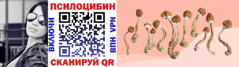 Псилоцибиновые грибы GOLDEN TEACHER Родники