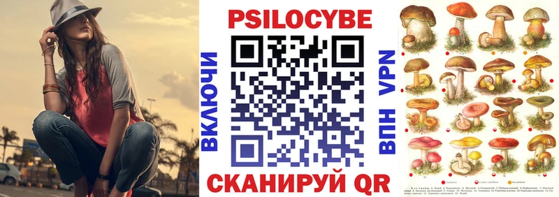 Галлюциногенные грибы Psilocybe  Родники 