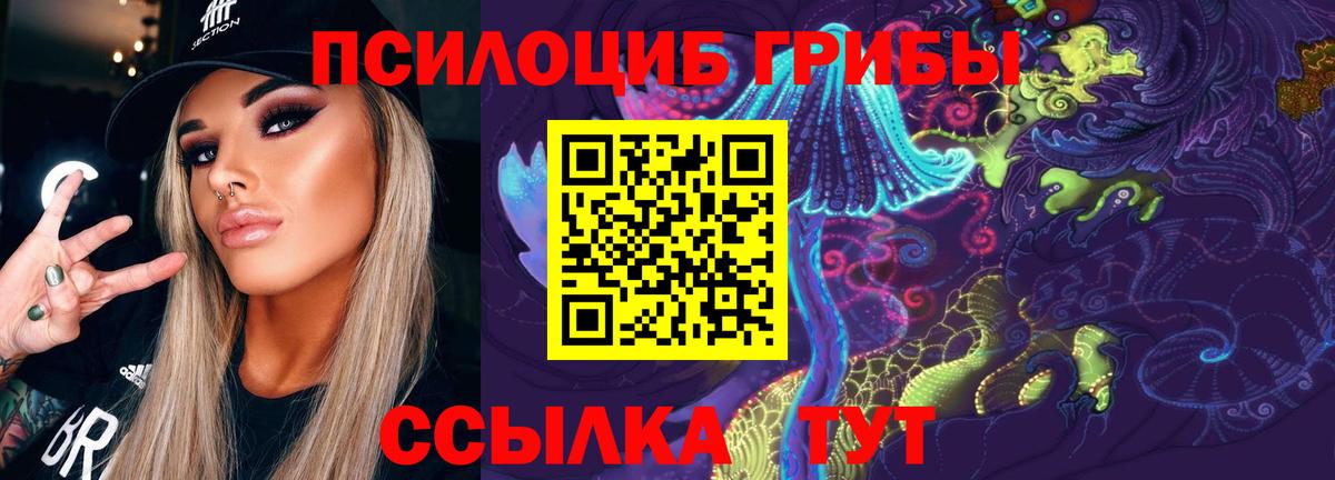 Галлюциногенные грибы прущие грибы Родники