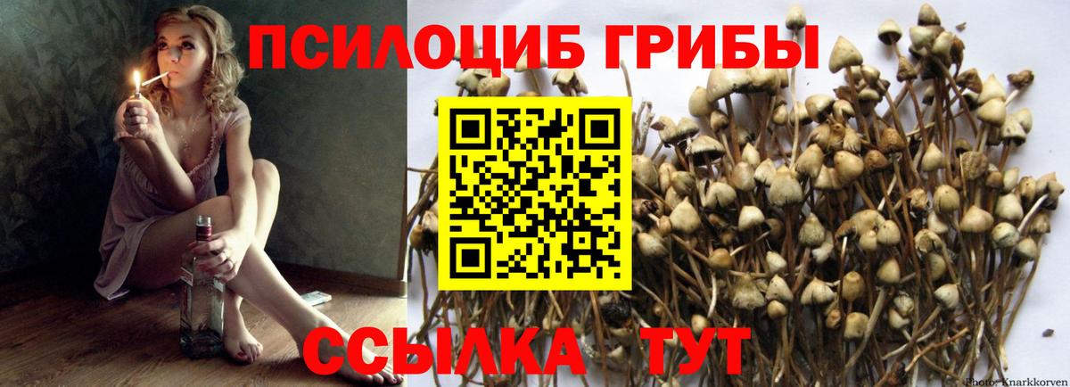 Псилоцибиновые грибы MAGIC MUSHROOMS  Вход с VPN  Родники 